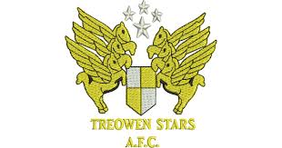 Wappen Treowen Stars FC  63823