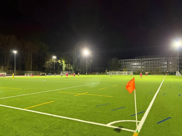 Complex British School of Brussels - Tervuren