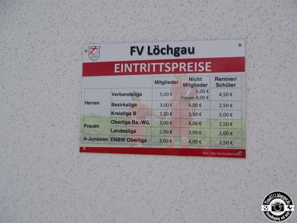 FV-Sportanlage - Kunstrasenplatz am Berg - Löchgau