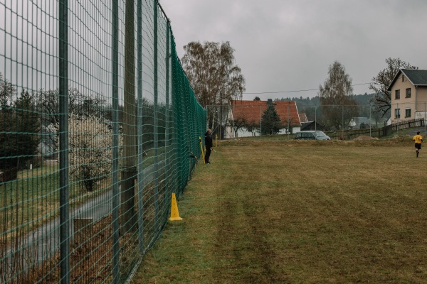 Alter Sportplatz Wildenau - Steinberg/Vogtland-Wildenau