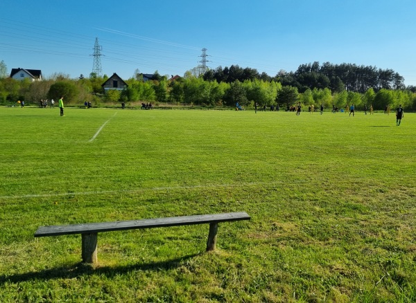 Boisko w Leśniowie Wielkim - Leśniów Wielki