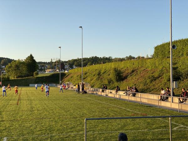 Sportplatz Sürenloh - Uitikon