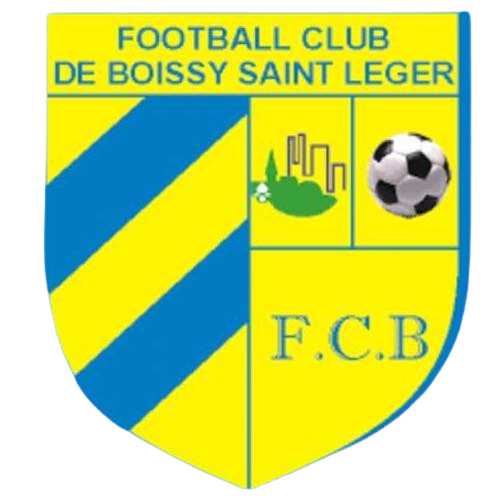 Wappen FC Boissy  124503