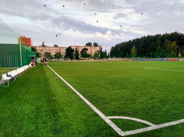 BFA-Arena - Vilnius