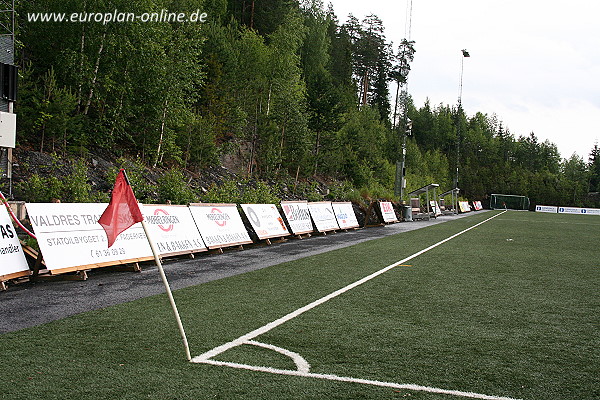 Blåbærmyra kunstgress  - Fagernes/Nord Aurdal 