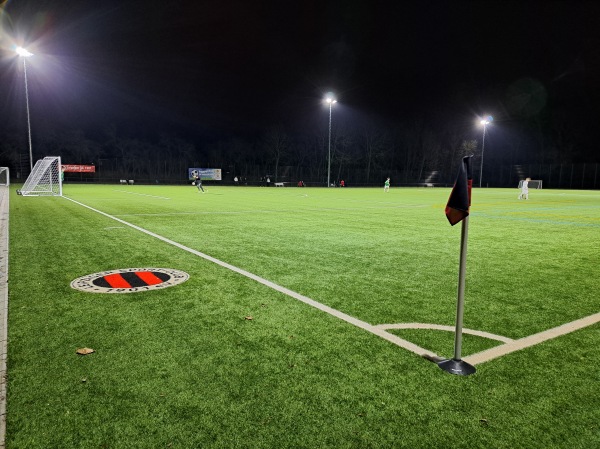 Sportanlage Pistorisstraße Platz 2 - Leipzig-Schleußig