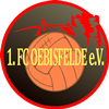 Wappen 1. FC Oebisfelde 2010 diverse