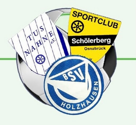 Wappen SG Holzhausen/Nahne/Schölerberg - Frauen (Ground B)