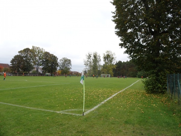 Boisko w Trzebicz - Trzebicz