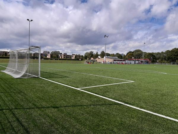 Sportpark Coendersborg veld 3-Amicitia - Groningen