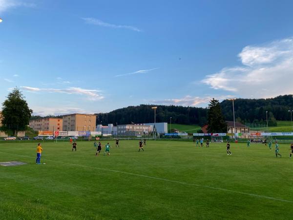 Sportplatz Laupenstrasse - Wald ZH