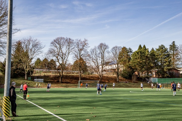 Otto-Schuricht-Sportstätte Platz 2 - Leisnig