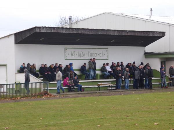 Sportplatz Tauer - Tauer