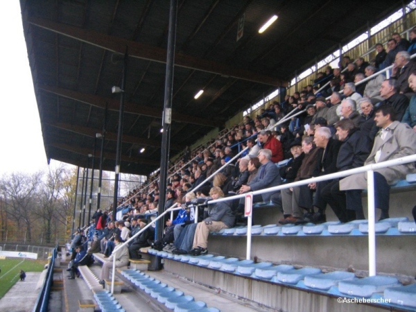 Gemeentelijk Parkstadion - Boom