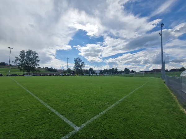 Sportplatz Beichlen Platz 3 - Wädenswil