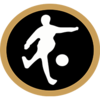 Wappen Stockholm StreetSoccer FF