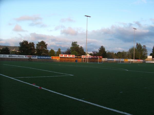 Tolnes stadion kunstgress - Skien