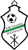Wappen ehemals VfB Saxonia 1990 Halsbrücke   56050
