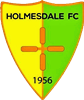Wappen Holmesdale FC