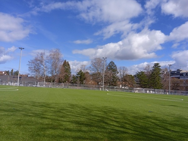 Stade des Fraisiers - Grand-Lancy
