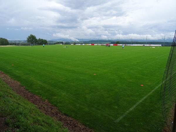 Sportanlage auf dem Dachsberg - Dachsberg/Südschwarzwald-Wilfingen