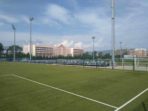 Vitali Daraselia Academy - Tbilisi
