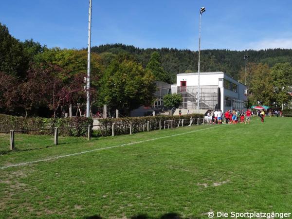 Sportplatz an der Dreisamhalle  - Freiburg/Breisgau-Ebnet
