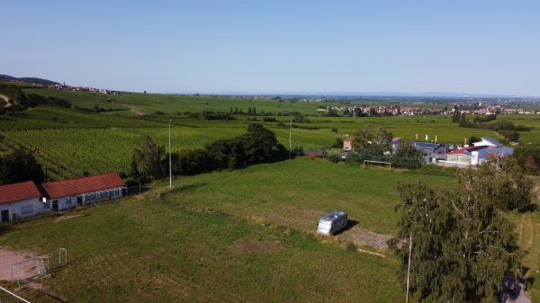 Sportplatz Am Schloßberg - Burrweiler