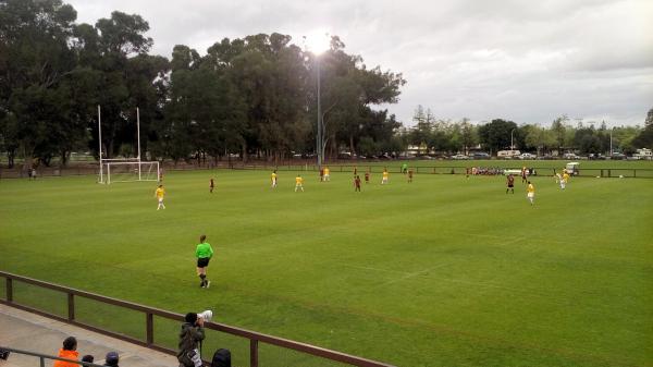Steuber Rugby Stadium - Palo Alto, CA