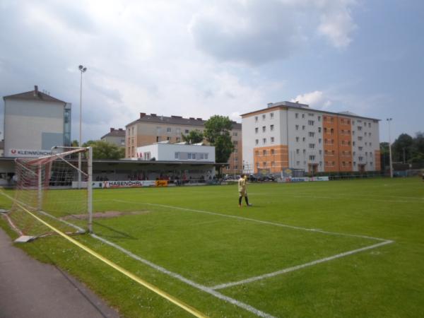 Andrea Binder Arena - Linz