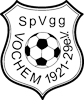 Wappen SpVgg. 21/29 Vochem