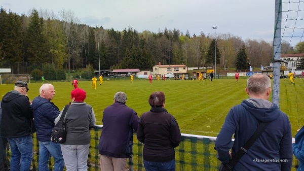 Sparkassen Waldstadion Nebenplatz - Sebnitz