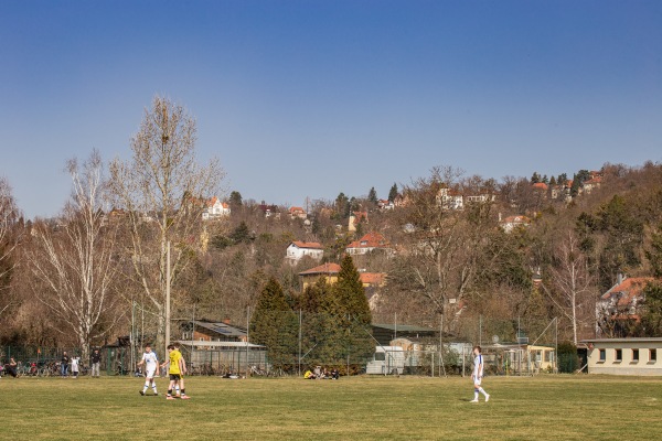 Sportanlage an der Elbe - Dresden-Wachwitz