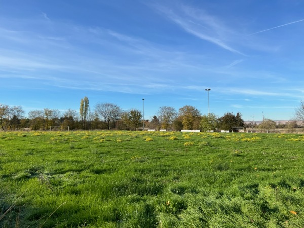 Sportplatz Ludwig-Rixen-Straße - Merzenich-Morschenich