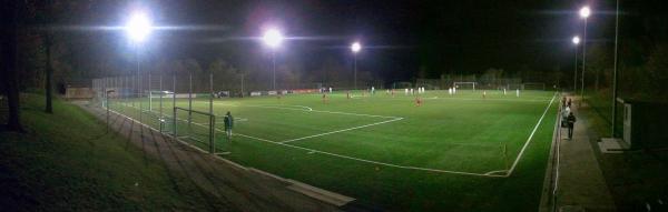Kageneck-Sportanlage Platz 2 - Stegen