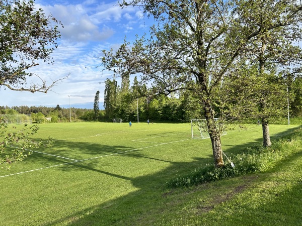 Phönix-Sportgelände Platz 2 - Pfalzgrafenweiler