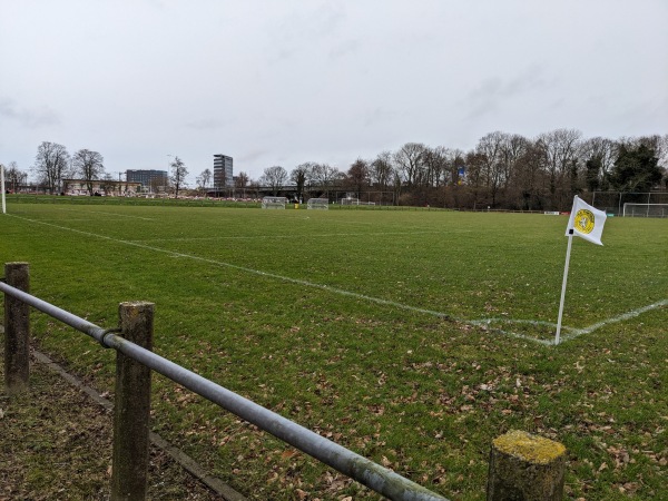 Sportpark Nylan veld 4-Friesland - Leeuwarden