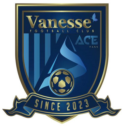 Wappen Sejong Vanesse FC