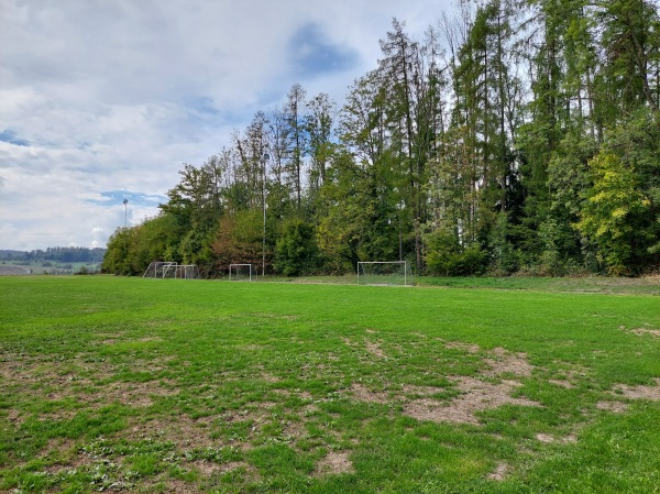 PanoramAArena Nebenplatz - Rheinfelden/Baden-Karsau