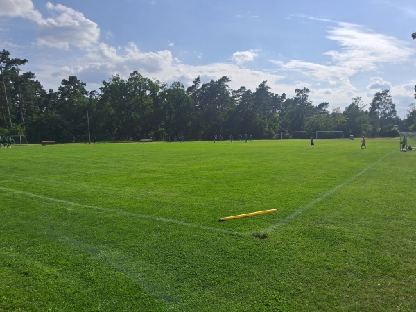 Sportanlage Breetzer Straße B-Platz - Bleckede