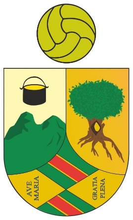 Wappen CD Hoyo de Manzanares