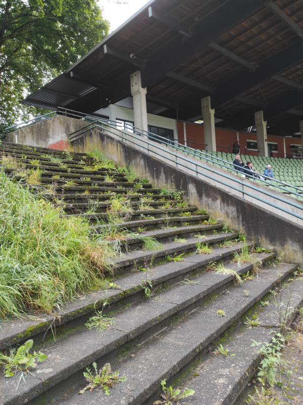 Stadion im Sportzentrum Hohenhorst - Recklinghausen