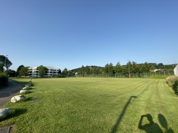 Sportplatz Eisweiher Platz 3 - Oberwil