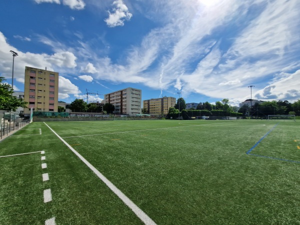 Stade de la Fontenette terrain B - Carouge GE