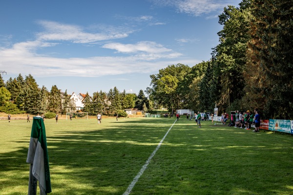 Waldstadion - Reinsdorf/Sachsen-Vielau