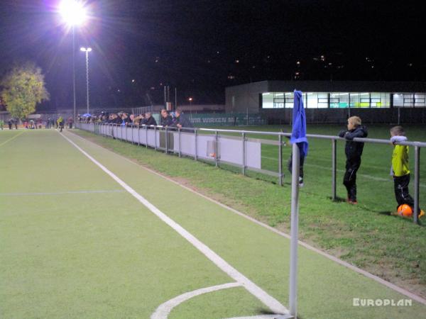 Ehrmann-Sportzentrum Platz 2 - Tübingen