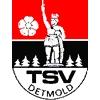 Wappen ehemals TSV Detmold 1911  29373
