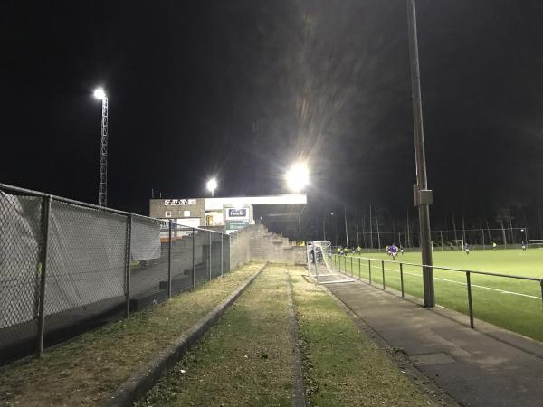 Broeder Marcelstadion - Genk