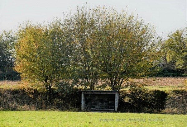 Complex De Corner Terrein 2 - Hoeselt-Alt-Hoeselt