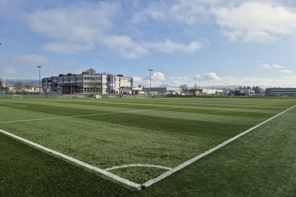 Sportanlage Barzloo Kunstrasenplatz - Pfäffikon ZH
